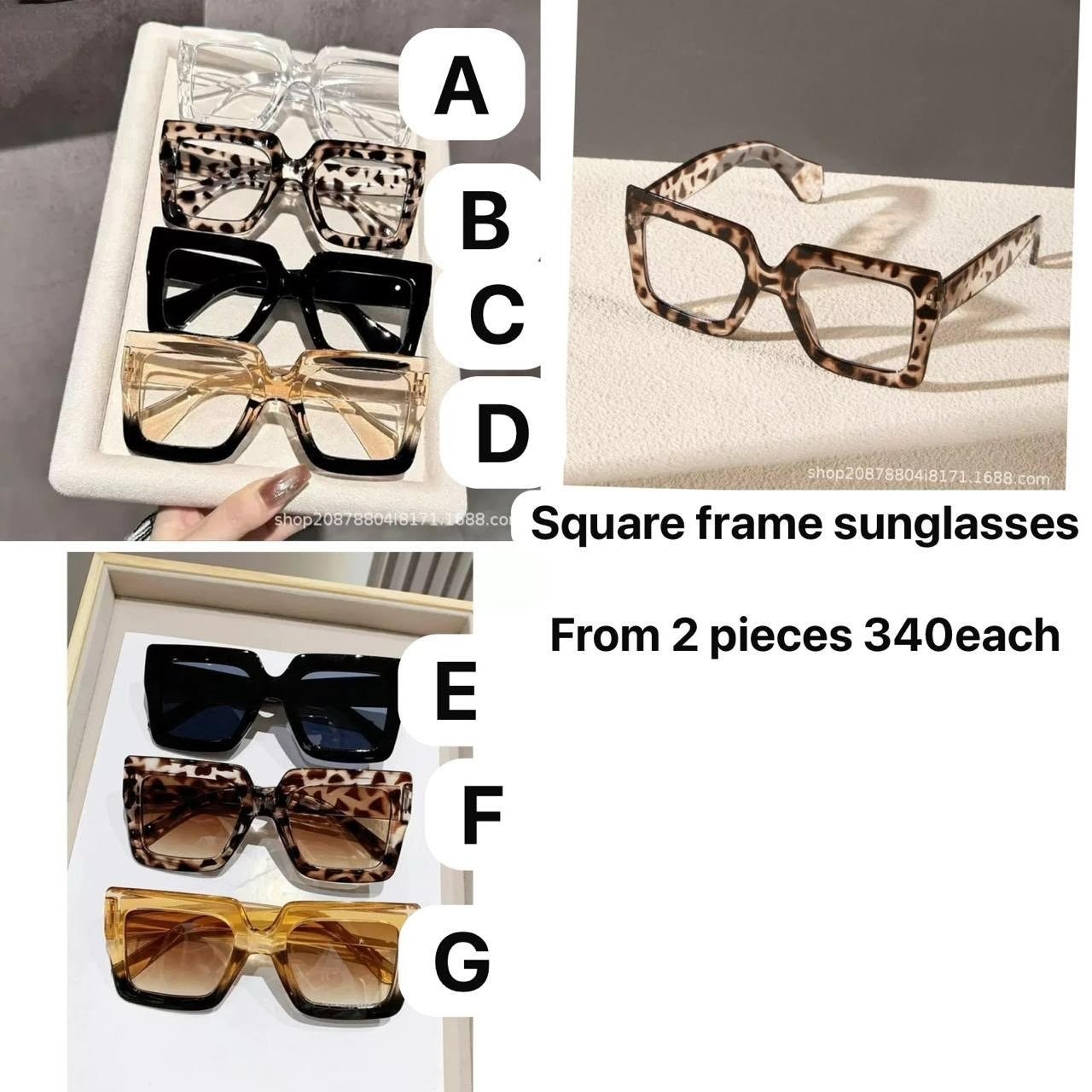 Square Frame Sunglasses