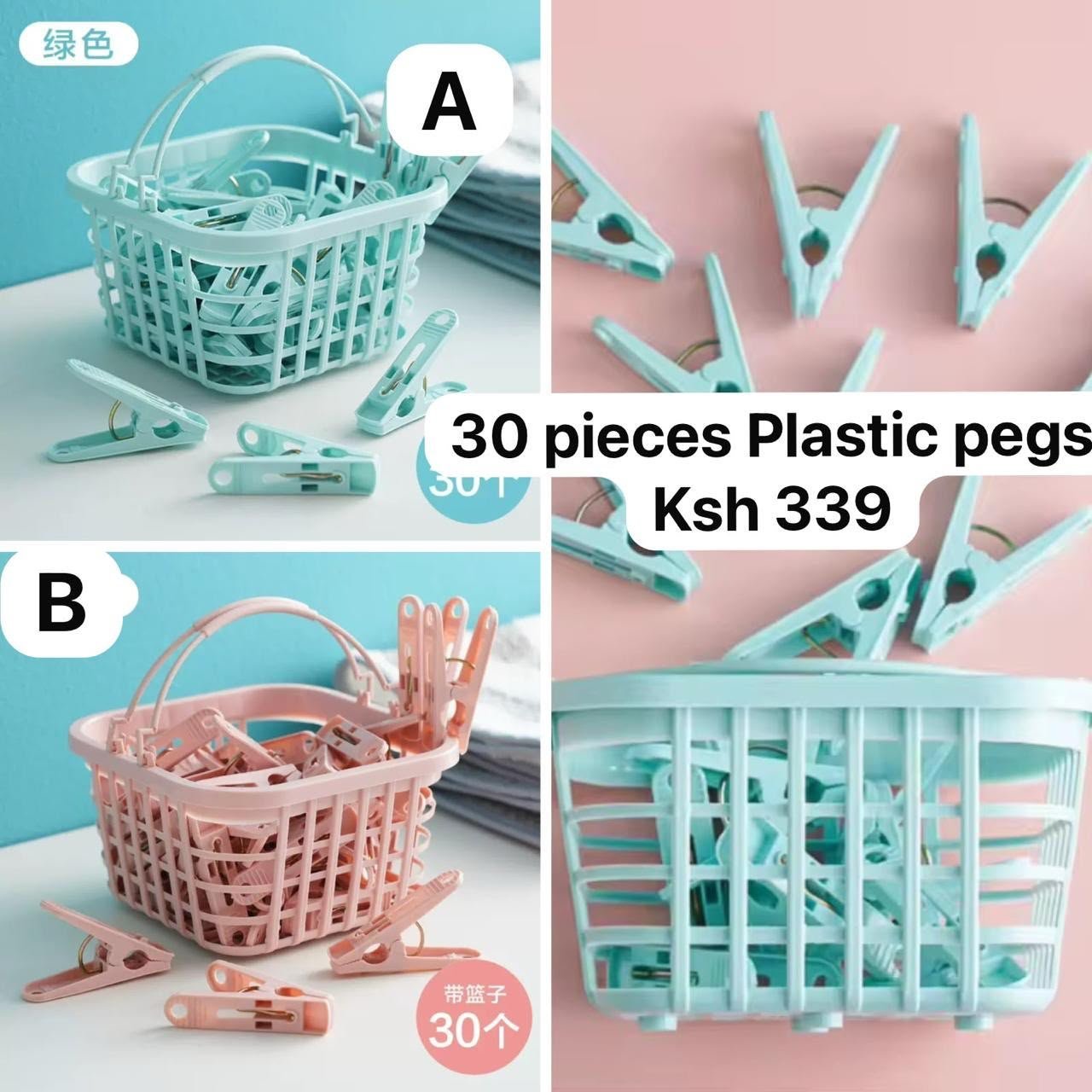 Plastic Clothes Pegs with Basket (30 pcs)